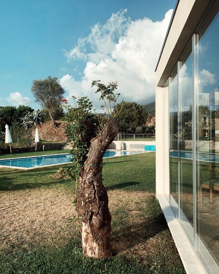 La Casa Di Ester Nel Cilento Angellara Ngoại thất bức ảnh