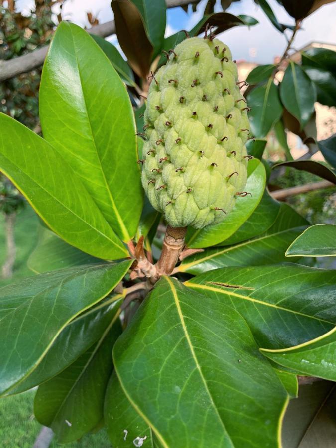 La Casa Di Ester Nel Cilento Angellara Ngoại thất bức ảnh